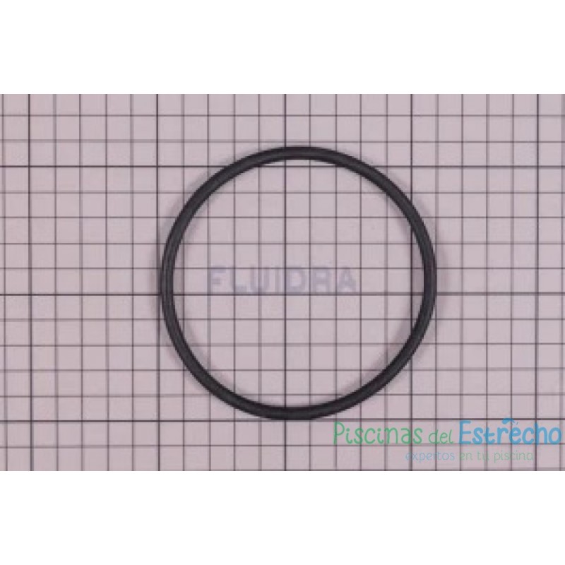 Recambio Junta Célula Astralpool E-NEXT
