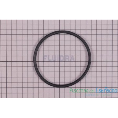 Recambio Junta Célula Astralpool E-NEXT