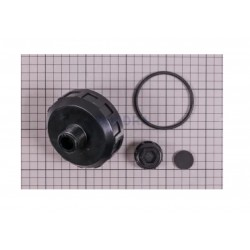 Recambio filtro Astralpool Purga Arena 2"