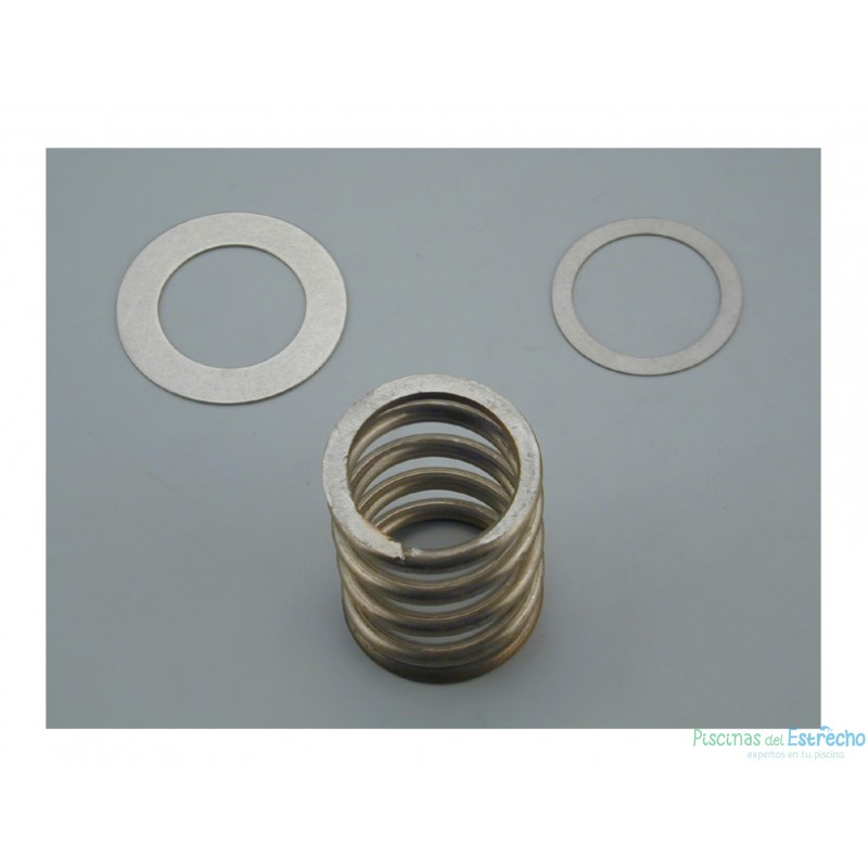 Recambio Astralpool Válvula selectora Resorte con Arandelas 2 ½"