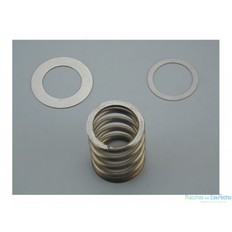 Recambio Astralpool Válvula selectora Resorte con Arandelas 2 ½"