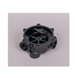 Recambio Astralpool Conjunto Cuerpo Flat 1 ½"