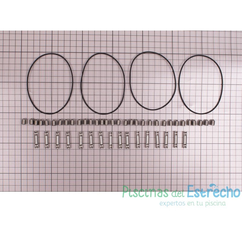 Recambio Junta + Pin Inox + Pin Conexión