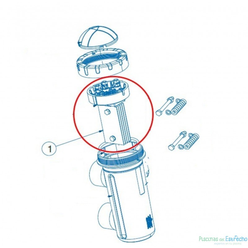 Electrodo Astralpool E-Next 21 gr/h 72330