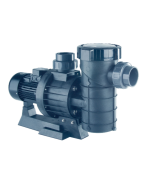 BOMBAS ASTRALPOOL MAXIM